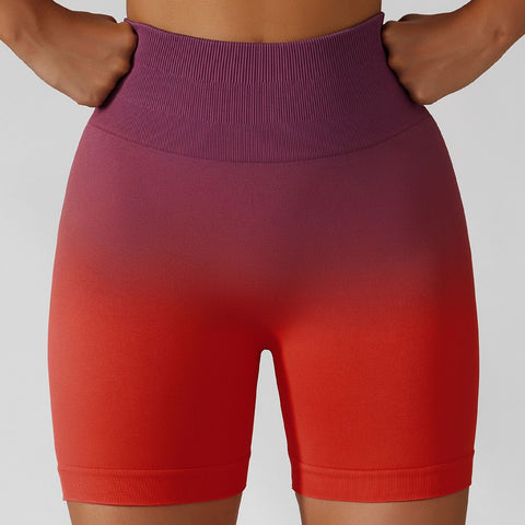 Fresh Air Gradient Shorts