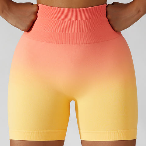 Fresh Air Gradient Shorts